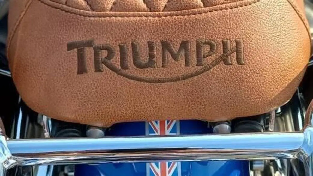 Triumph Bonneville T100 SE (2014)  (3)