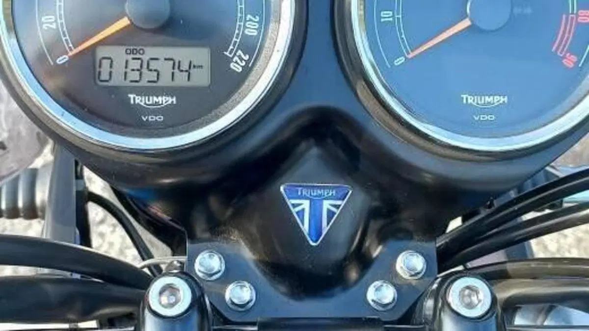 Triumph Bonneville T100 SE (2014)  (6)