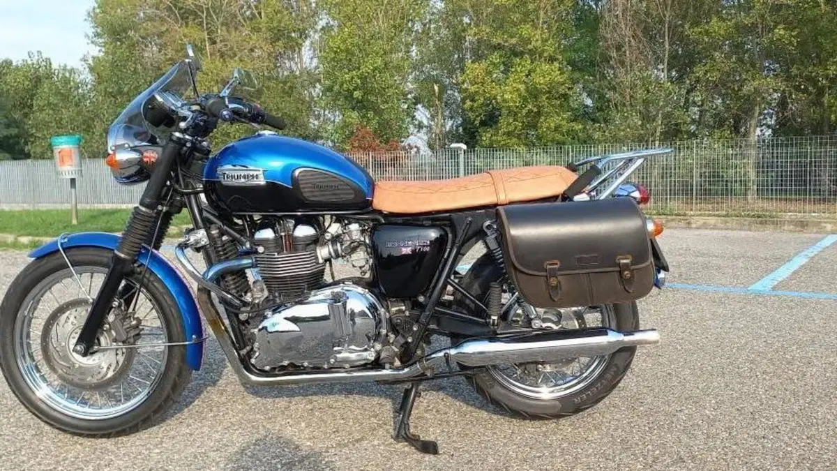 Triumph Bonneville T100 SE (2014)  (7)