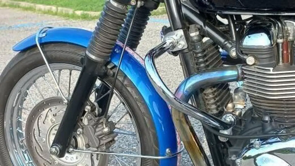 Triumph Bonneville T100 SE (2014)  (11)