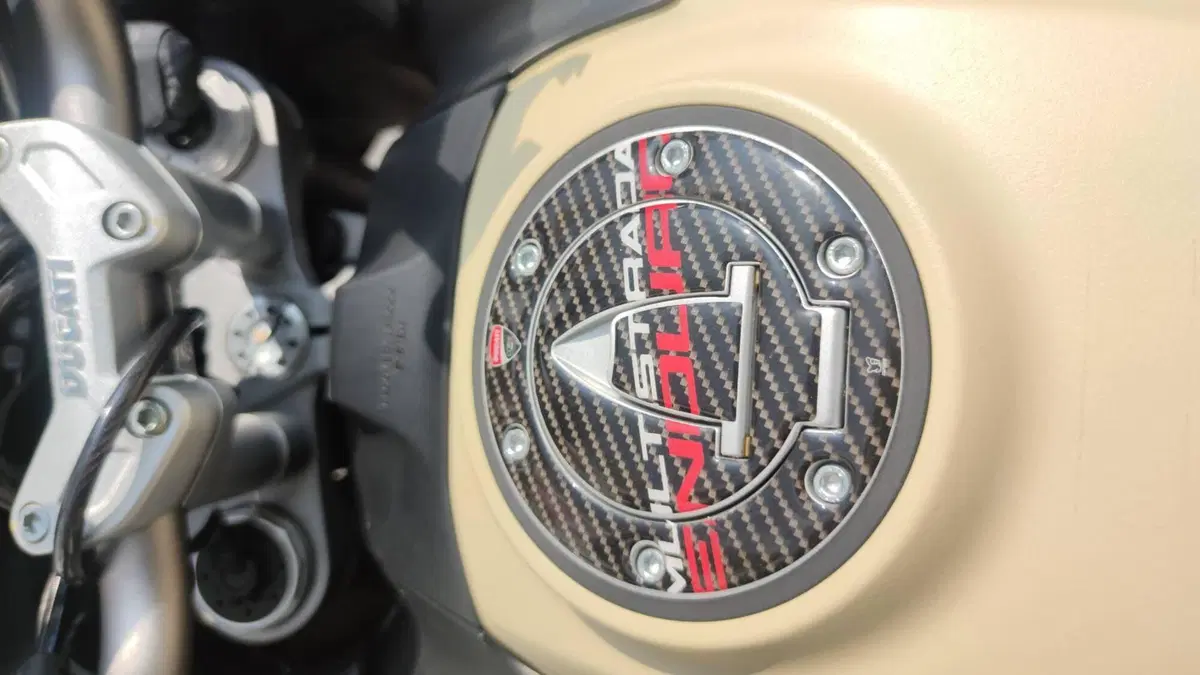 Ducati Multistrada 1260 Enduro (2019 - 21)  (8)