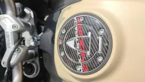 Ducati Multistrada 1260 Enduro (2019 - 21)  (8)