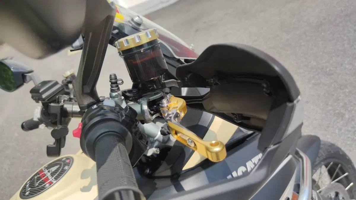 Ducati Multistrada 1260 Enduro (2019 - 21)  (9)