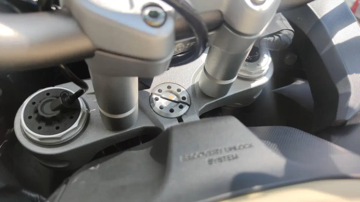 Ducati Multistrada 1260 Enduro (2019 - 21)  (12)