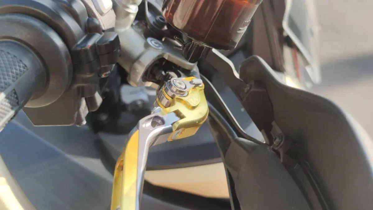 Ducati Multistrada 1260 Enduro (2019 - 21)  (17)