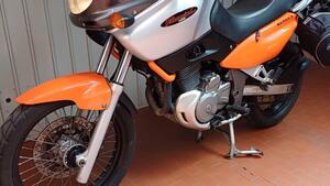 Suzuki XF 650 Freewind (1997 - 03) 