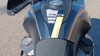 Moto Guzzi Stelvio (2024 - 26) usata