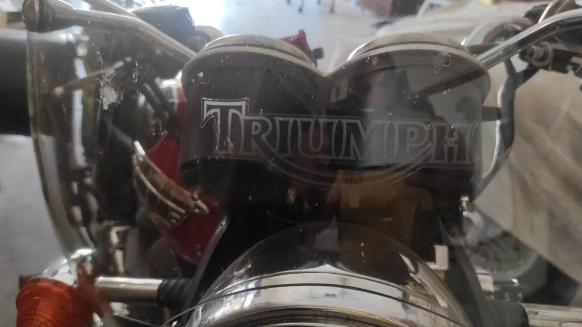 Triumph Bonneville T100 (2008 - 16)  (3)