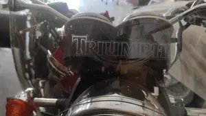 Triumph Bonneville T100 (2008 - 16)  (3)
