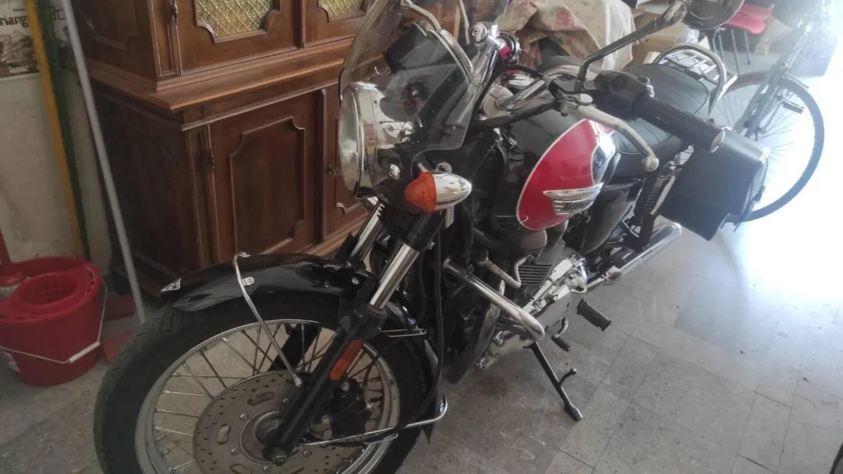 Triumph Bonneville T100 (2008 - 16)  (6)