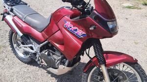 Kawasaki KLE 500 (1991 - 00) 