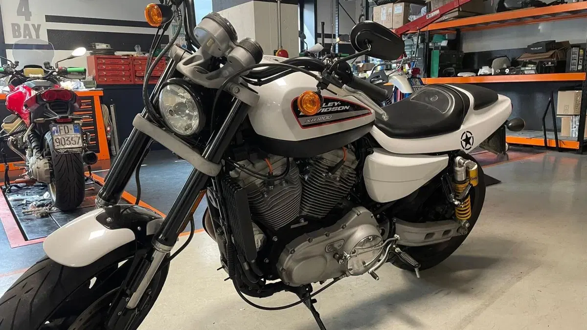Harley-Davidson 1200 XR (2009 - 12)  (4)