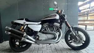 Harley-Davidson 1200 XR (2009 - 12)  (5)