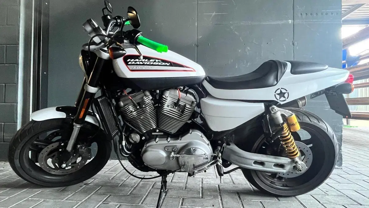 Harley-Davidson 1200 XR (2009 - 12)  (6)