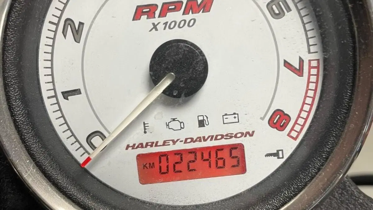 Harley-Davidson 1200 XR (2009 - 12)  (7)