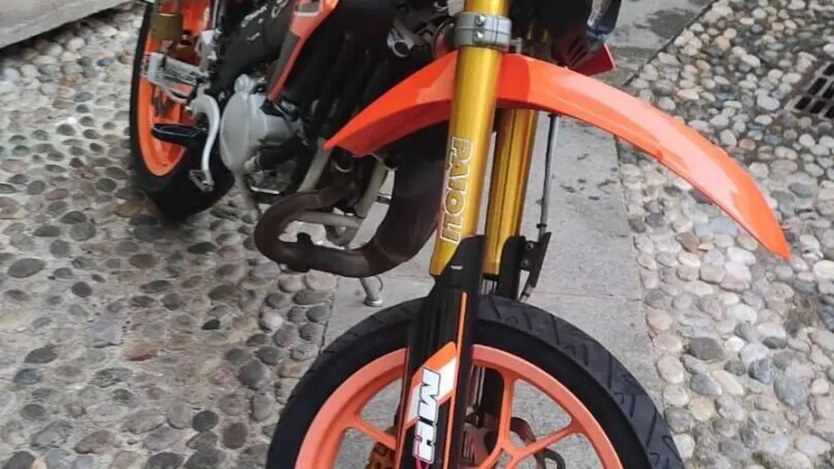 Betamotor RR 50 Motard (2006)  (5)