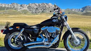 Harley-Davidson 1200 Low (2006 - 07) - XL 1200L  (7)
