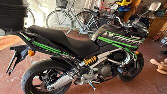 Kawasaki Versys 650 (2006 - 09) usata