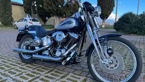 Harley-Davidson 1450 Springer (1999 - 00) - FXSTS  (5)