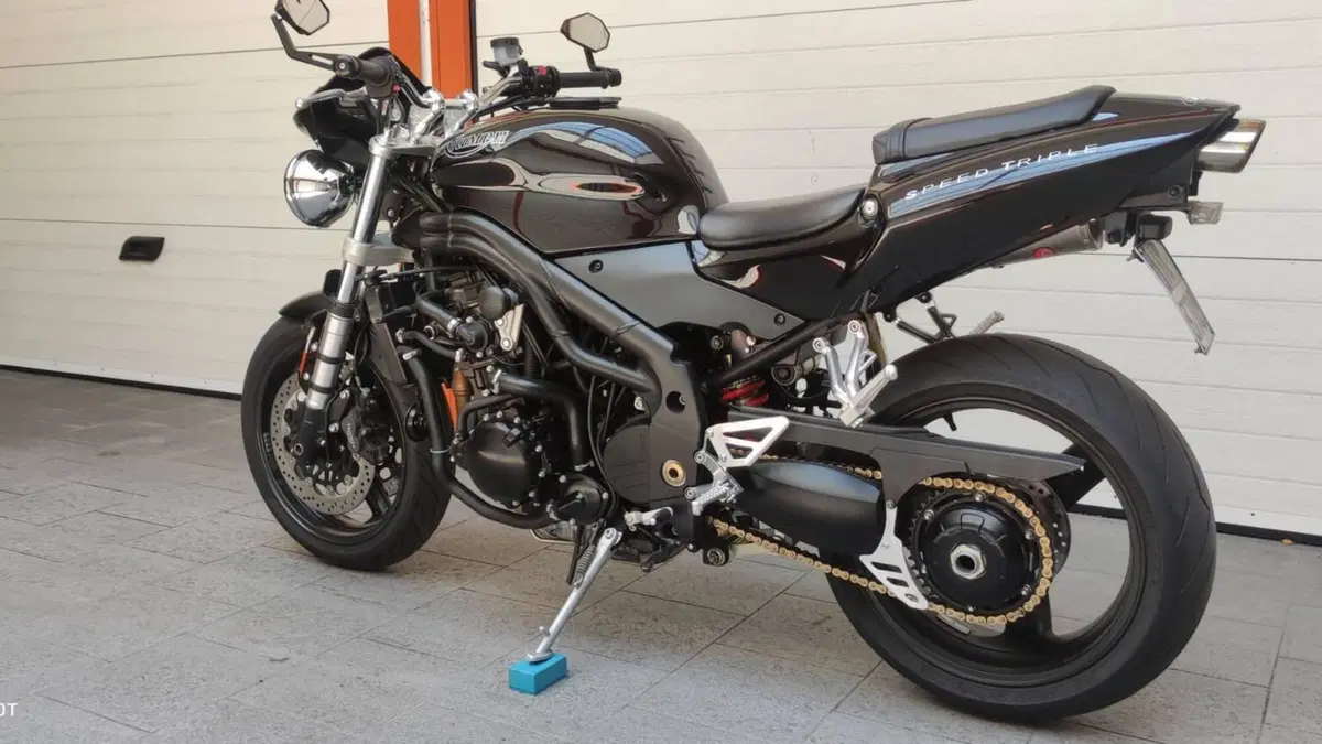 Triumph Speed Triple 955 (2002 - 04)  (6)