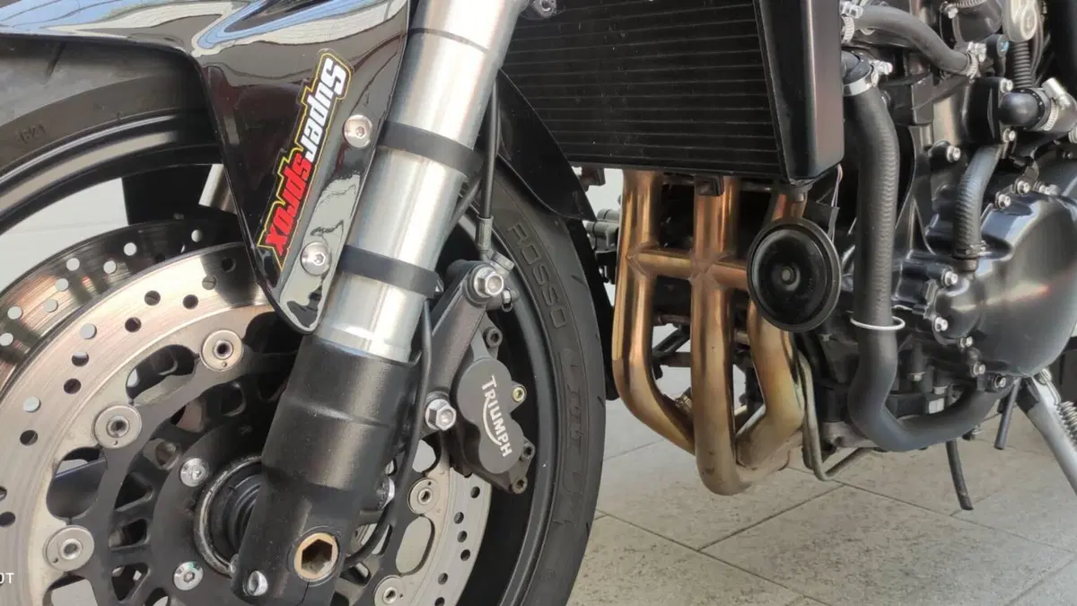 Triumph Speed Triple 955 (2002 - 04)  (9)