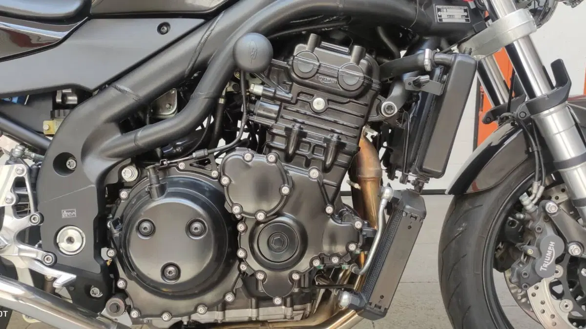 Triumph Speed Triple 955 (2002 - 04)  (10)