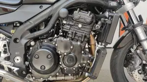 Triumph Speed Triple 955 (2002 - 04)  (10)