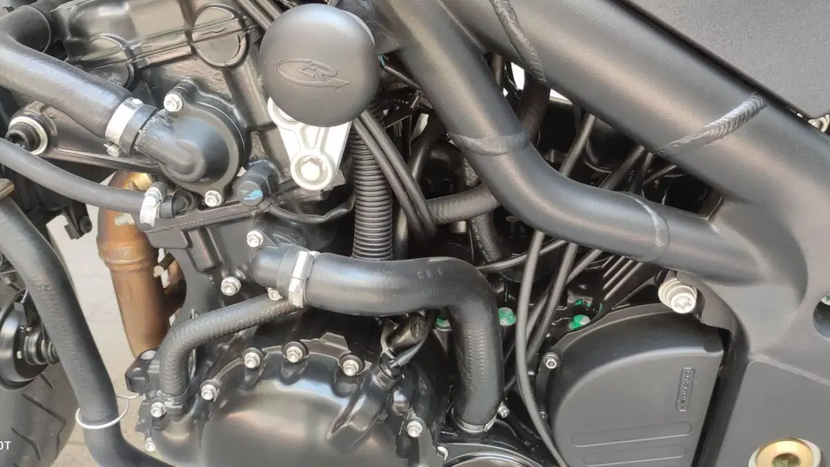 Triumph Speed Triple 955 (2002 - 04)  (12)