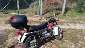 Suzuki   (20)
