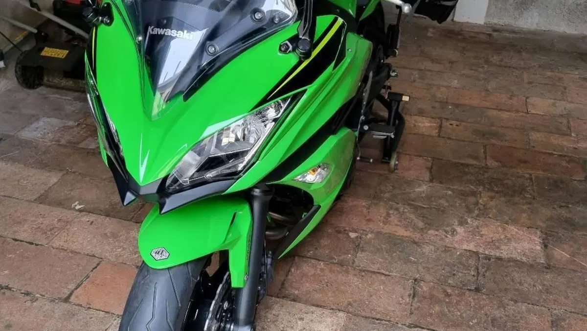 Kawasaki Ninja 650 KRT Edition (2017 - 19)  (2)