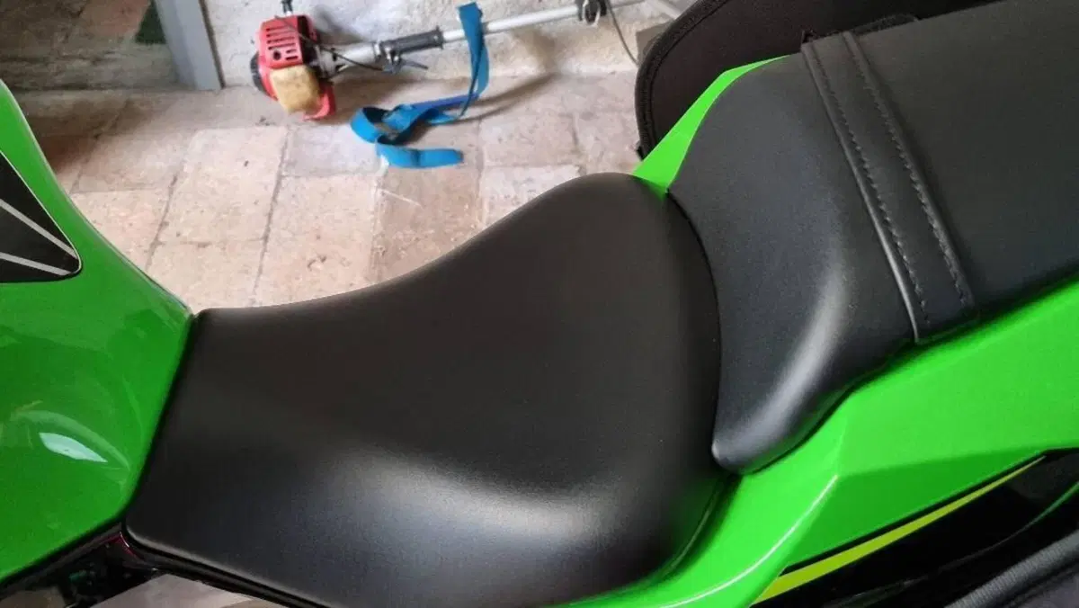 Kawasaki Ninja 650 KRT Edition (2017 - 19)  (6)
