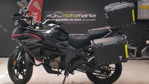 Voge Trofeo 300AC (2021 - 26) 