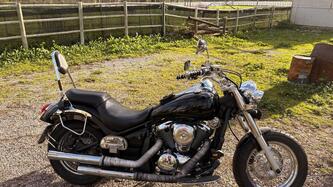 Kawasaki Vulcan VN 900 Classic (2006 - 10) usata