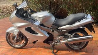 Kawasaki ZZR 1200 (2002 - 05) usata