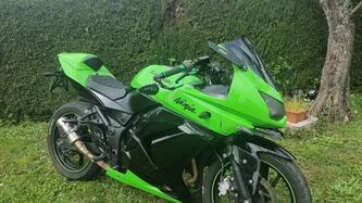 Kawasaki Ninja 250 R (2007 - 13) usata