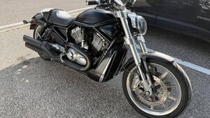 Harley-Davidson 1250 Street Rod (2005 - 06) - VRSCR 