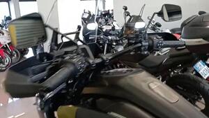 Harley-Davidson Pan America 1250 Special (2020 - 25) 