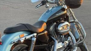 Harley-Davidson 883 Custom (2006 - 07) - XL 883C 