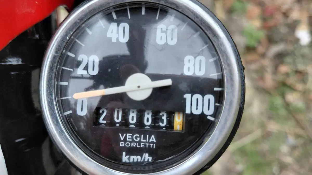 Fantic Motor   (7)