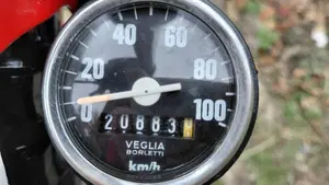 Fantic Motor   (7)