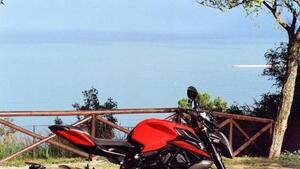 MV Agusta Brutale 800 Rosso (2021 - 23) 