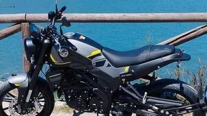 Benelli Leoncino 250 (2021 - 25) 