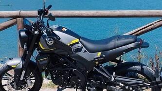 Benelli Leoncino 250 (2021 - 25) usata