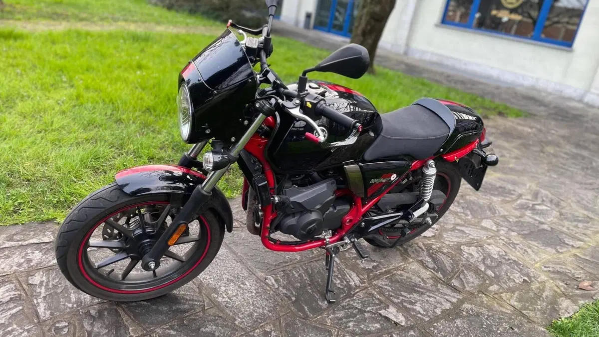 Sym Wolf CR 300 (2019 - 20)  (2)