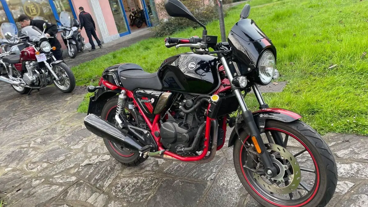 Sym Wolf CR 300 (2019 - 20)  (4)