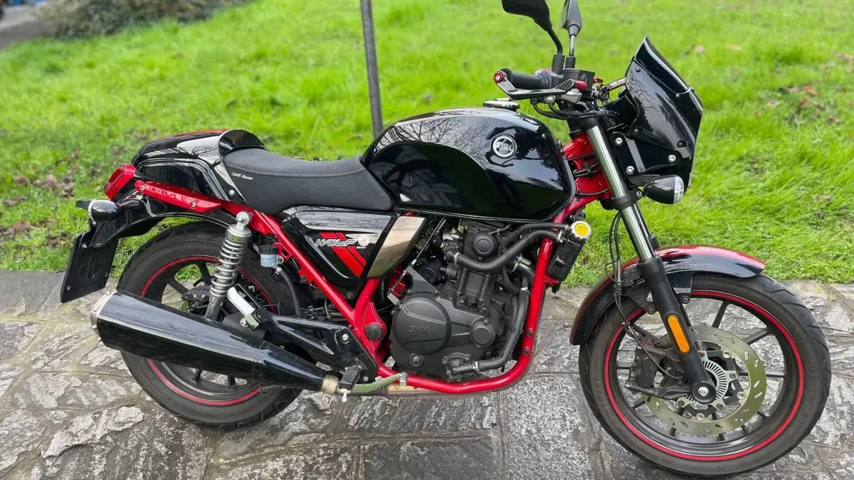Sym Wolf CR 300 (2019 - 20)  (5)