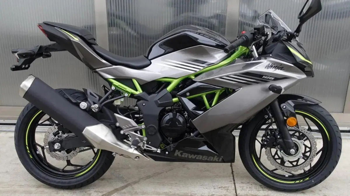 Kawasaki Ninja 125 (2025 - 26)  (5)