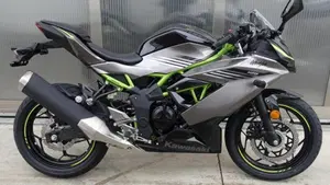 Kawasaki Ninja 125 (2025 - 26)  (5)