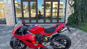 Ducati Panigale V4 (2025 - 26) usata