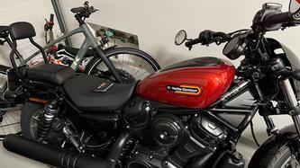 Harley-Davidson Nightster Special (2023 - 26) usata